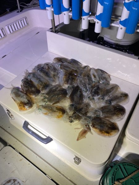 Monster Rush! 釣果