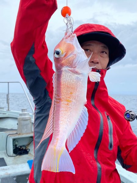 あみや渡船 JIGBOY 釣果