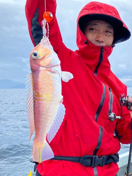 あみや渡船 JIGBOY 釣果