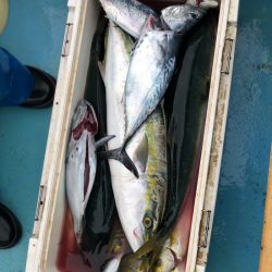丸万釣船 釣果