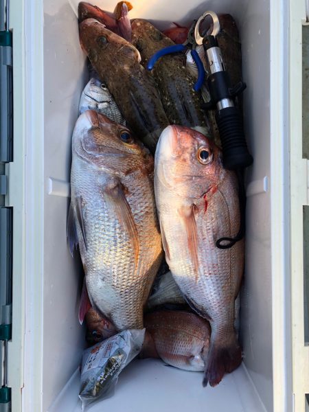 フィッシング キッタカ 釣果