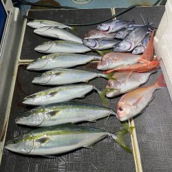 Monster Rush! 釣果