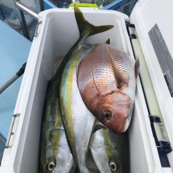 第二八坂丸 釣果