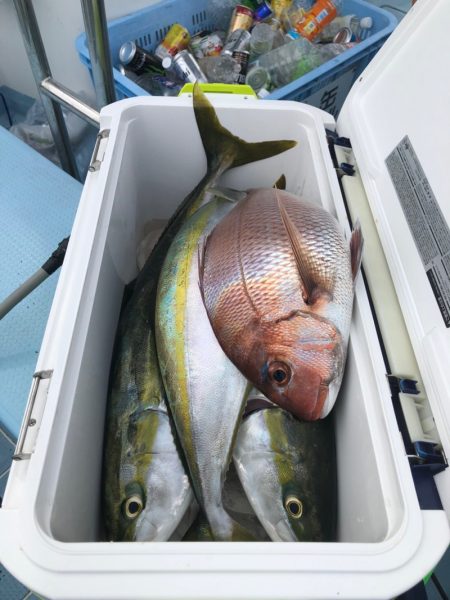 第二八坂丸 釣果