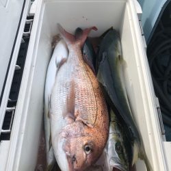 第二八坂丸 釣果