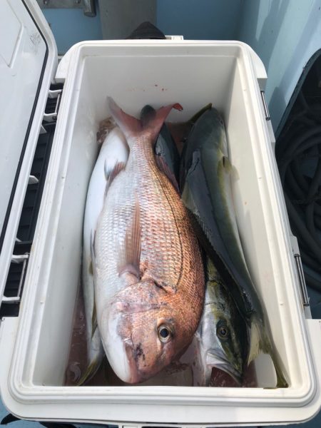 第二八坂丸 釣果