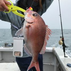 ランスルー 釣果