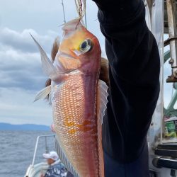 あみや渡船 JIGBOY 釣果