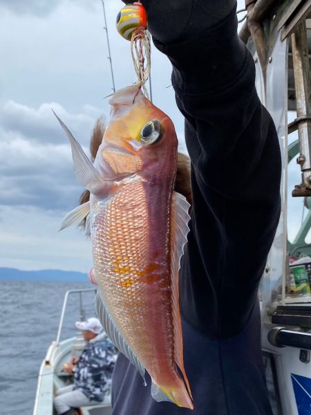 あみや渡船 JIGBOY 釣果