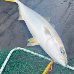 あみや渡船 JIGBOY 釣果