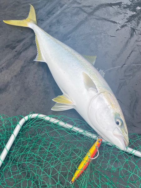 あみや渡船 JIGBOY 釣果