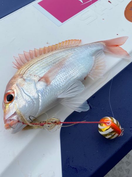 あみや渡船 JIGBOY 釣果