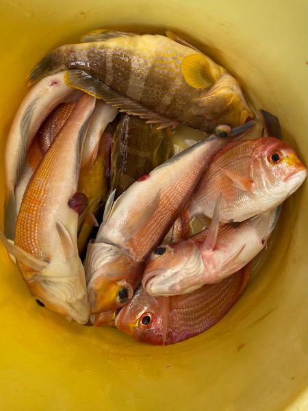 あみや渡船 JIGBOY 釣果