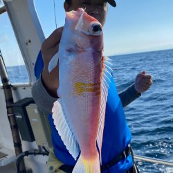 あみや渡船 JIGBOY 釣果