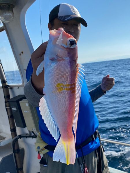 あみや渡船 JIGBOY 釣果