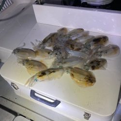 Monster Rush! 釣果