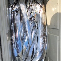 フィッシング　キッタカ 釣果