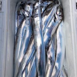 フィッシング　キッタカ 釣果