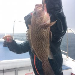 渡船屋たにぐち 釣果