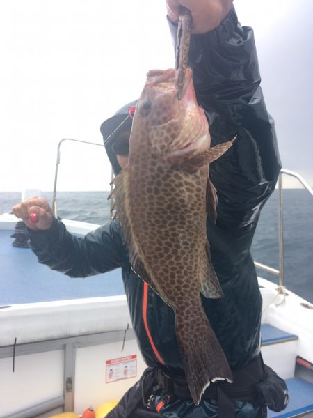渡船屋たにぐち 釣果