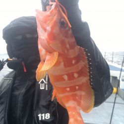 渡船屋たにぐち 釣果