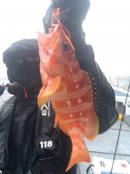 渡船屋たにぐち 釣果