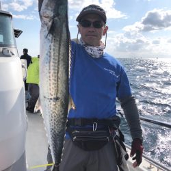 ビッグファイター 釣果