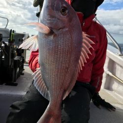 ランスルー 釣果