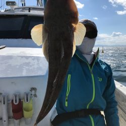 ランスルー 釣果