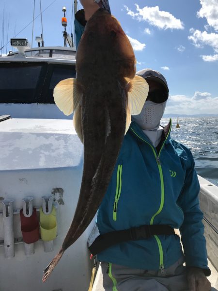 ランスルー 釣果