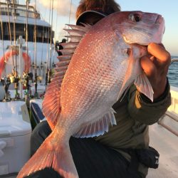 ランスルー 釣果