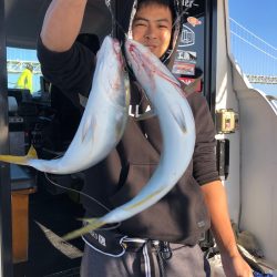 ビッグファイター 釣果