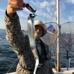 Ｖ−７ West 釣果