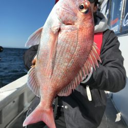 ランスルー 釣果