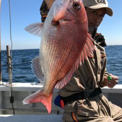 ランスルー 釣果