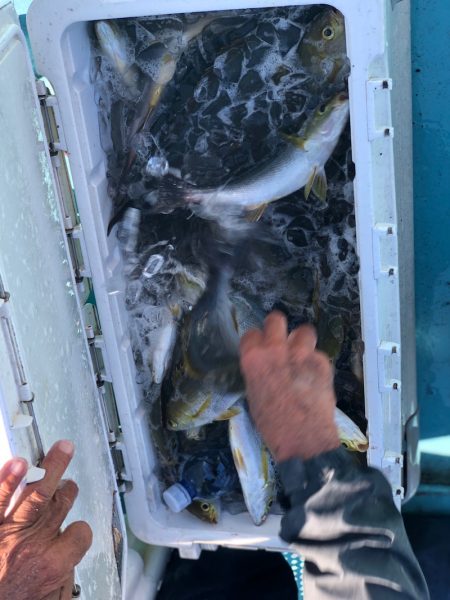 丸万釣船 釣果