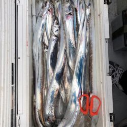 フィッシング　キッタカ 釣果