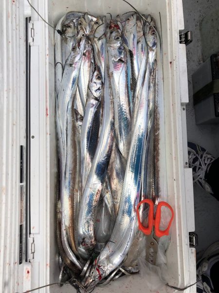 フィッシング　キッタカ 釣果