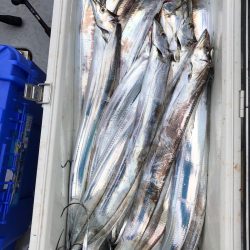 フィッシング　キッタカ 釣果