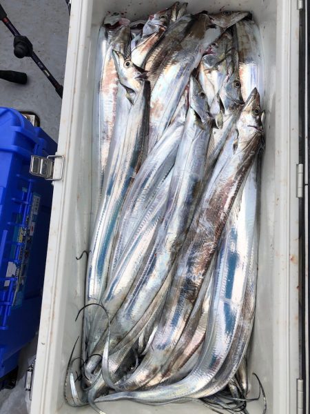 フィッシング　キッタカ 釣果