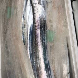 フィッシング　キッタカ 釣果