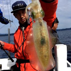 渡船屋たにぐち 釣果