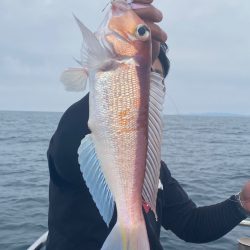 あみや渡船 JIGBOY 釣果