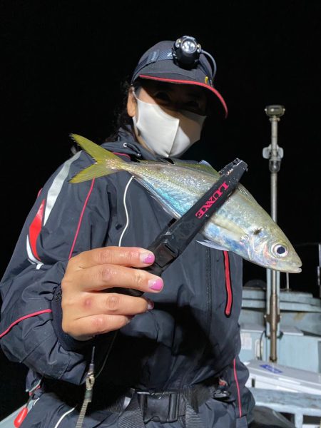 あみや渡船 JIGBOY 釣果