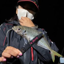 あみや渡船 JIGBOY 釣果