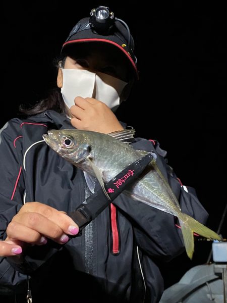 あみや渡船 JIGBOY 釣果