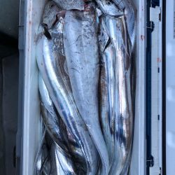 フィッシング キッタカ 釣果