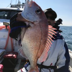 ランスルー 釣果