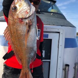 フィッシング キッタカ 釣果