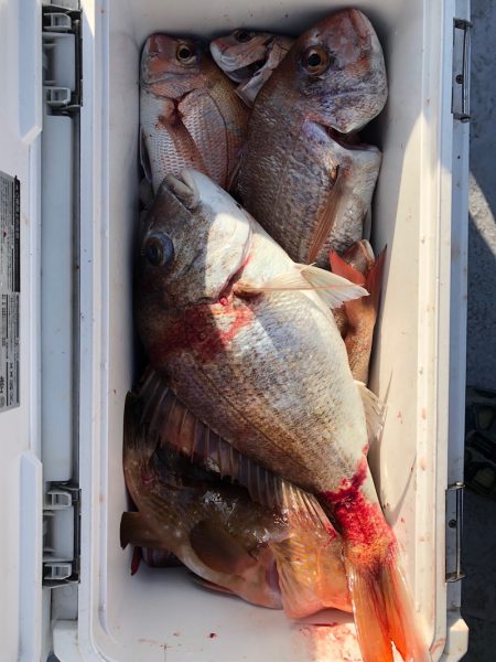 フィッシング キッタカ 釣果